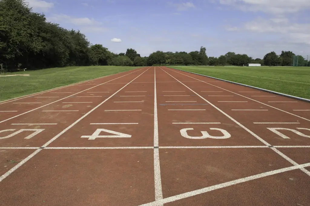 Countries With Sports Scholarships: An Overview